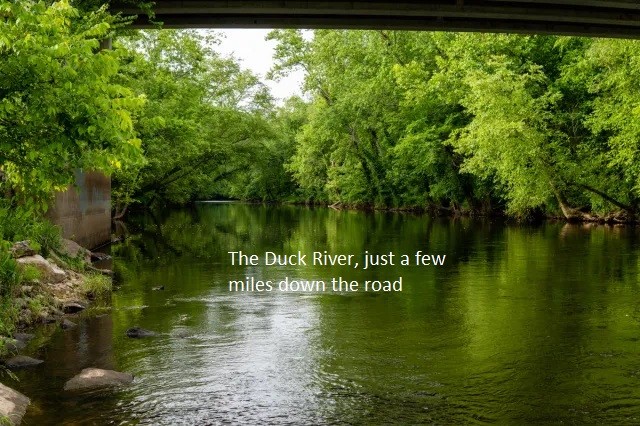 107 Harper Landing Chapel Hill TN 37034