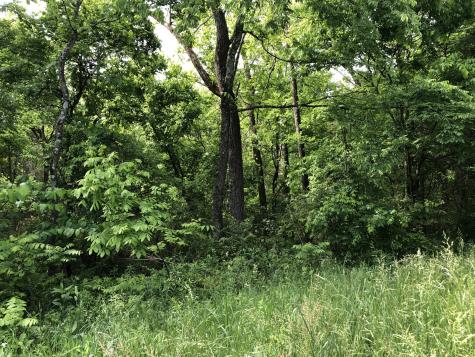 0 Blue Springs Road Decherd TN 37324