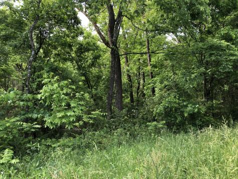 0 Blue Springs Road Decherd TN 37324