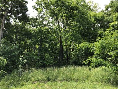 0 Blue Springs Road Decherd TN 37324