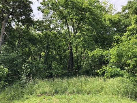 0 Blue Springs Road Decherd TN 37324
