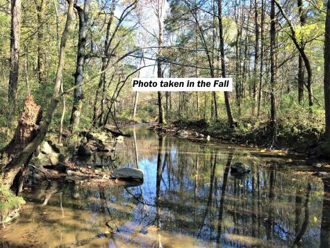 0 Blue Springs Road Decherd TN 37324