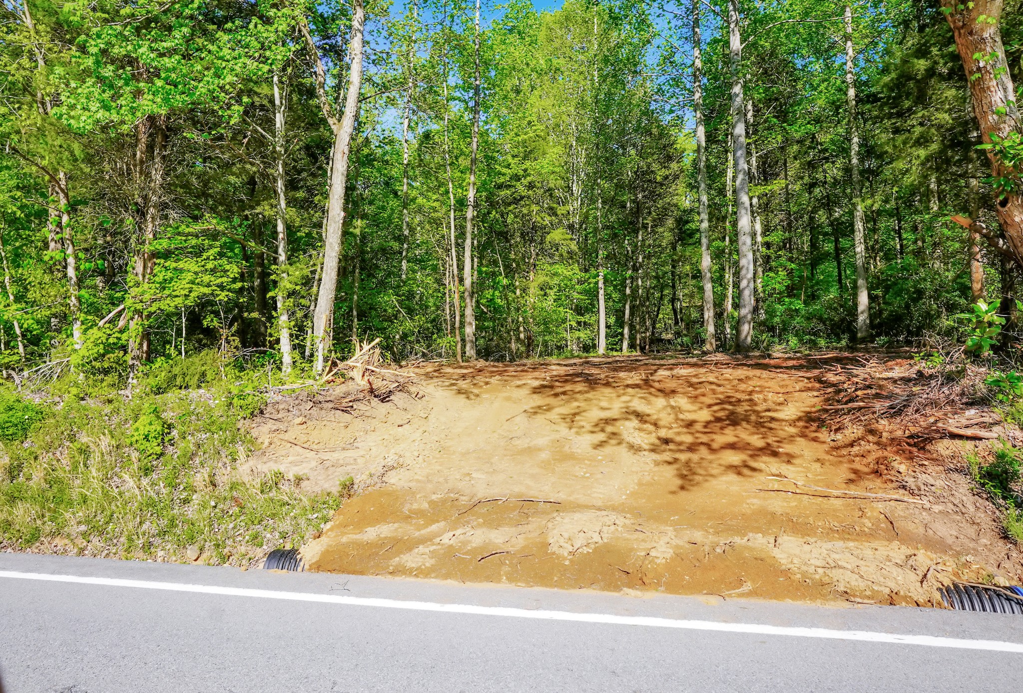 4205 Highway 49 Tennessee Ridge TN 37178