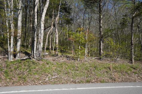 4205 Highway 49 Tennessee Ridge TN 37178