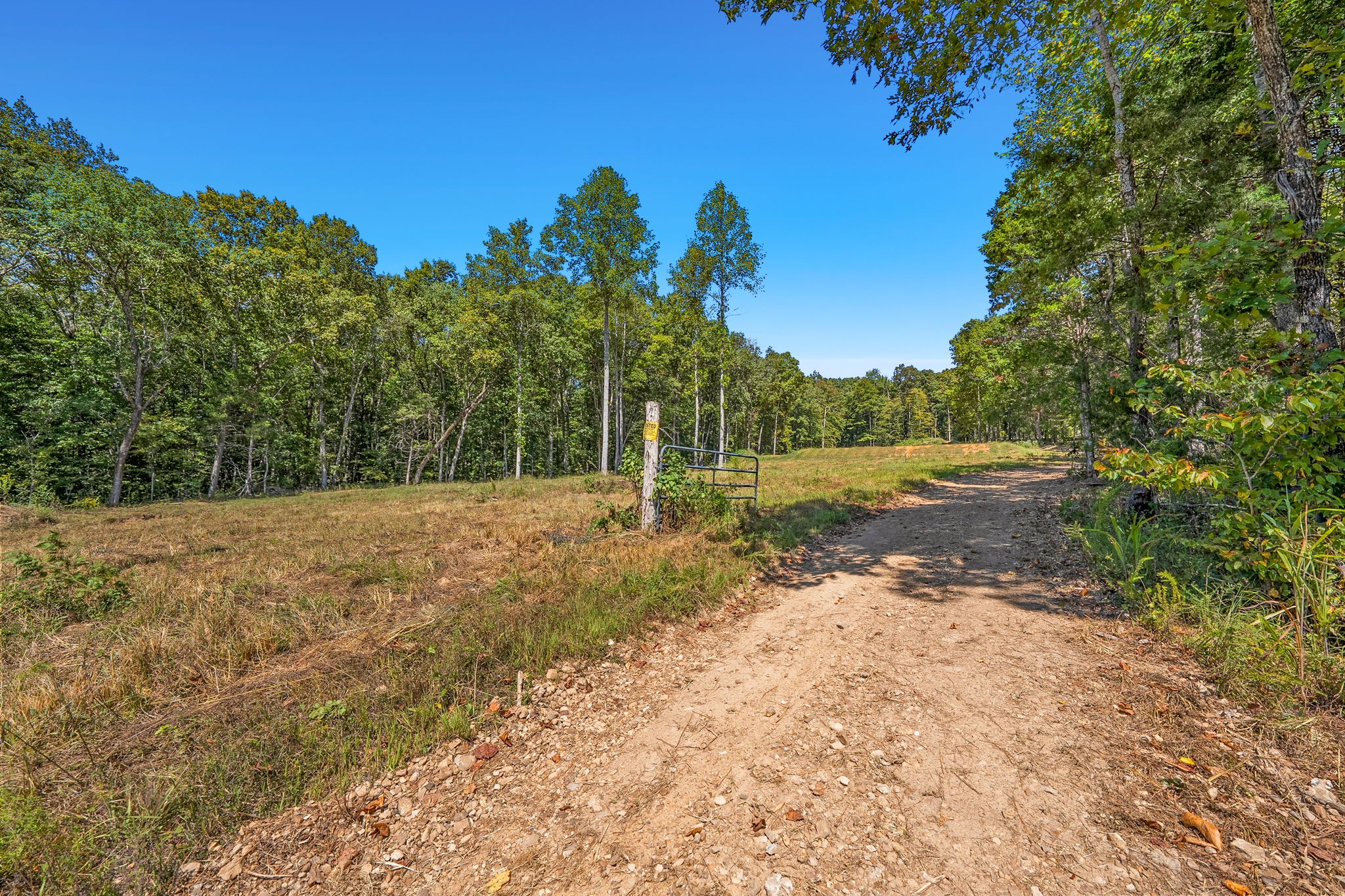 261 Norris Hollow Road Vanleer TN 37181