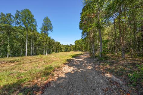 261 Norris Hollow Road Vanleer TN 37181