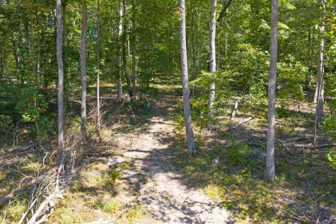 261 Norris Hollow Road Vanleer TN 37181