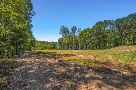 261 Norris Hollow Road Vanleer TN 37181