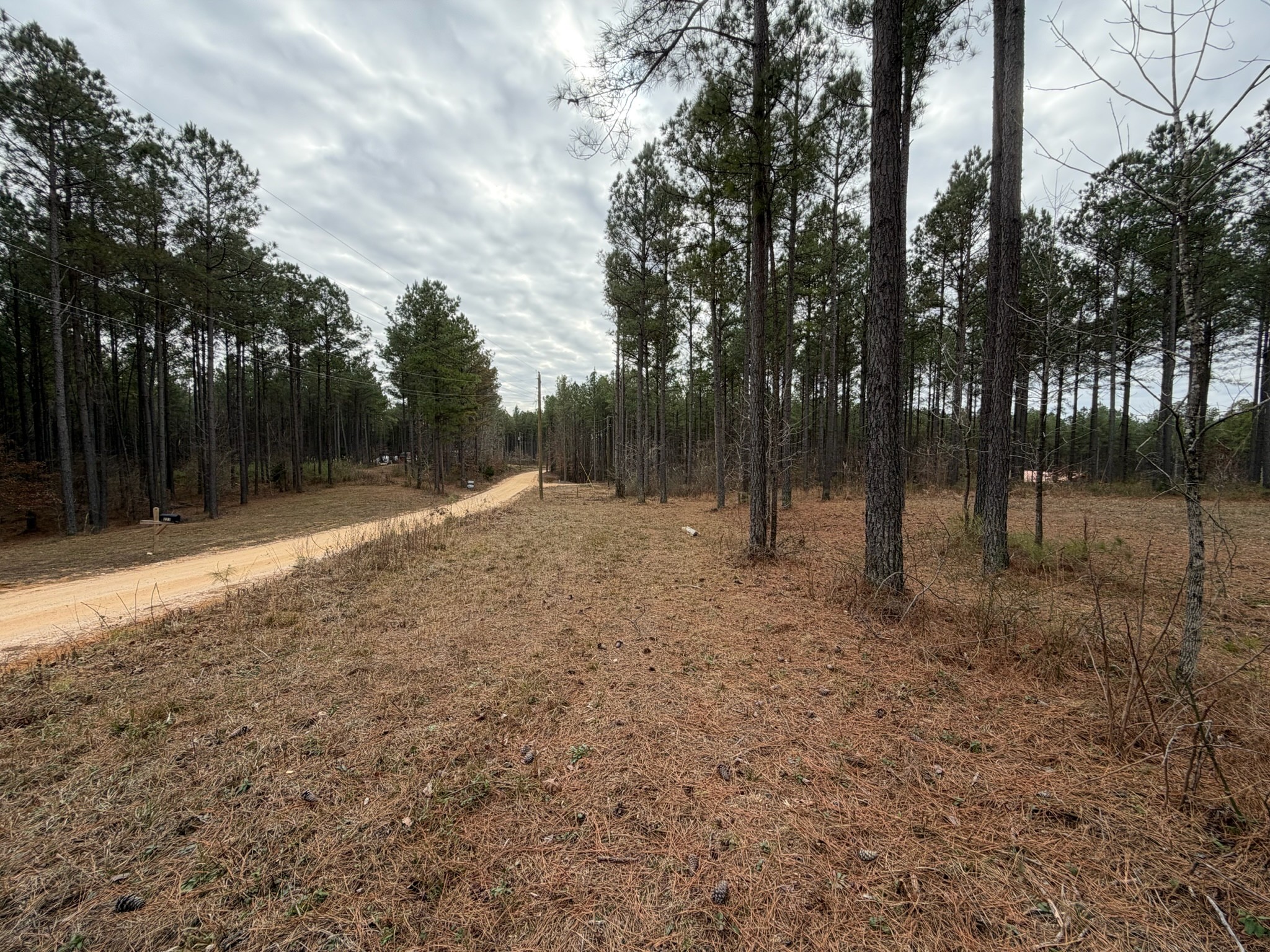 2A Bartlett Road Reagan TN 38368