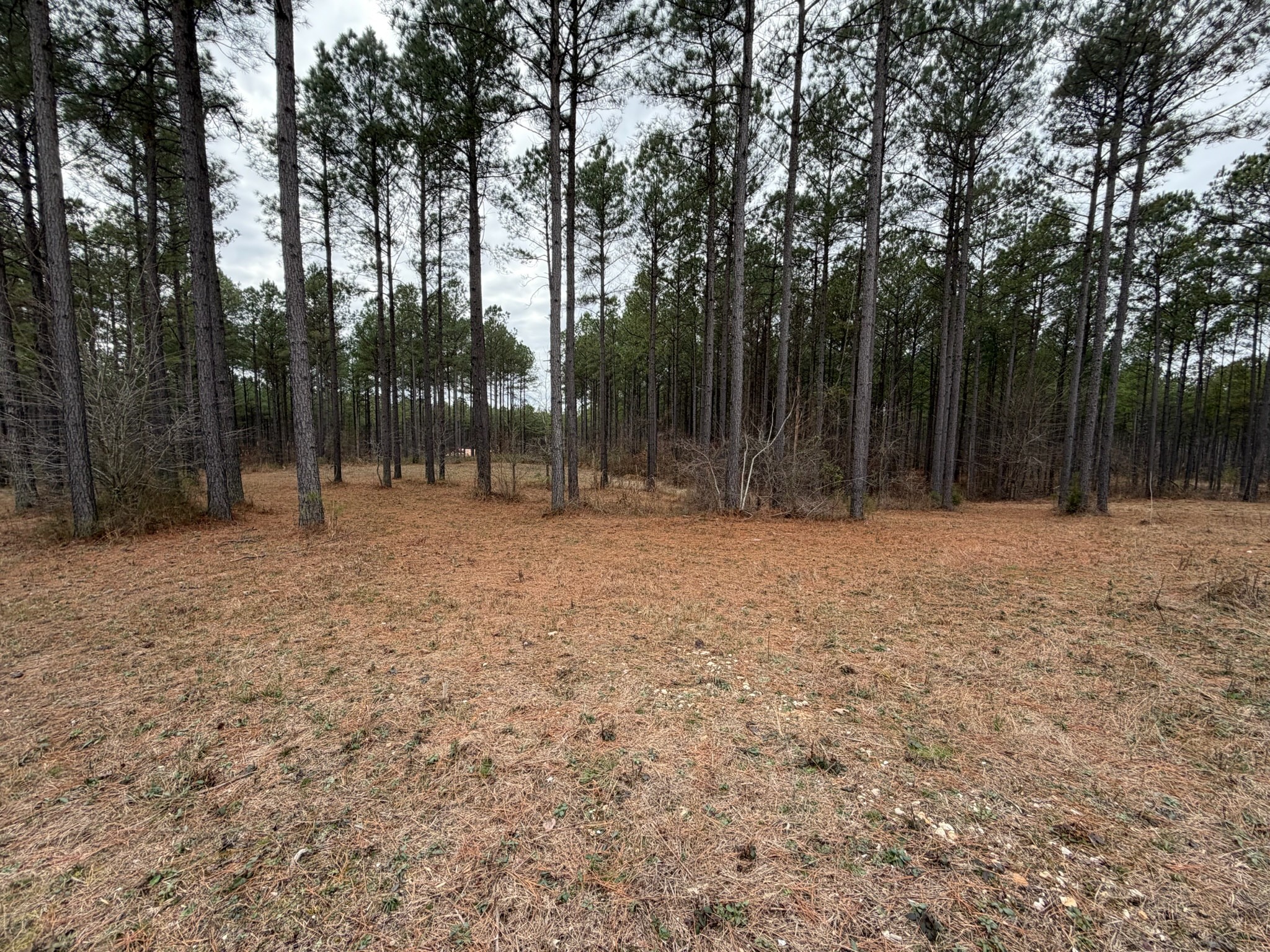 2A Bartlett Road Reagan TN 38368