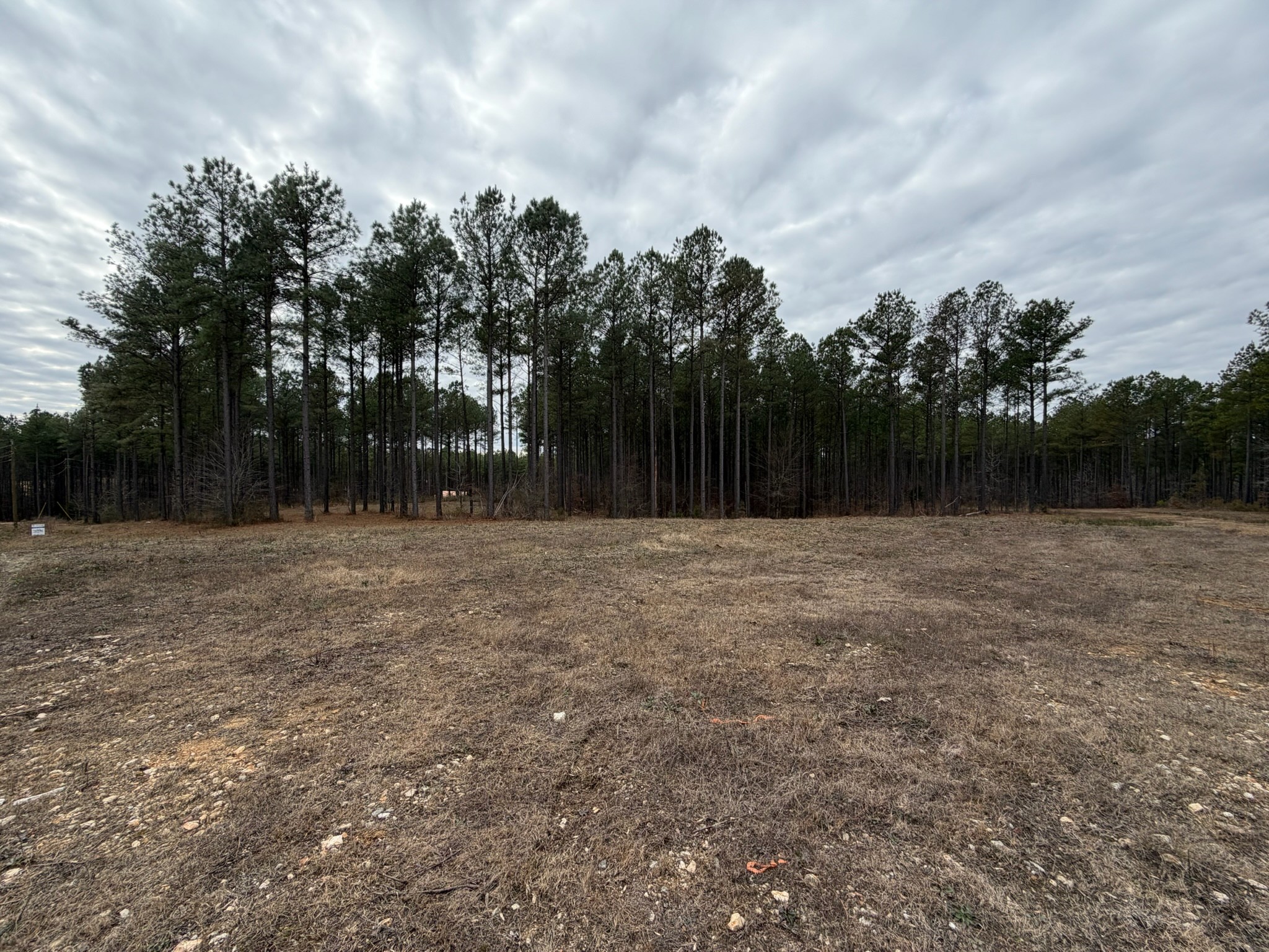 2A Bartlett Road Reagan TN 38368