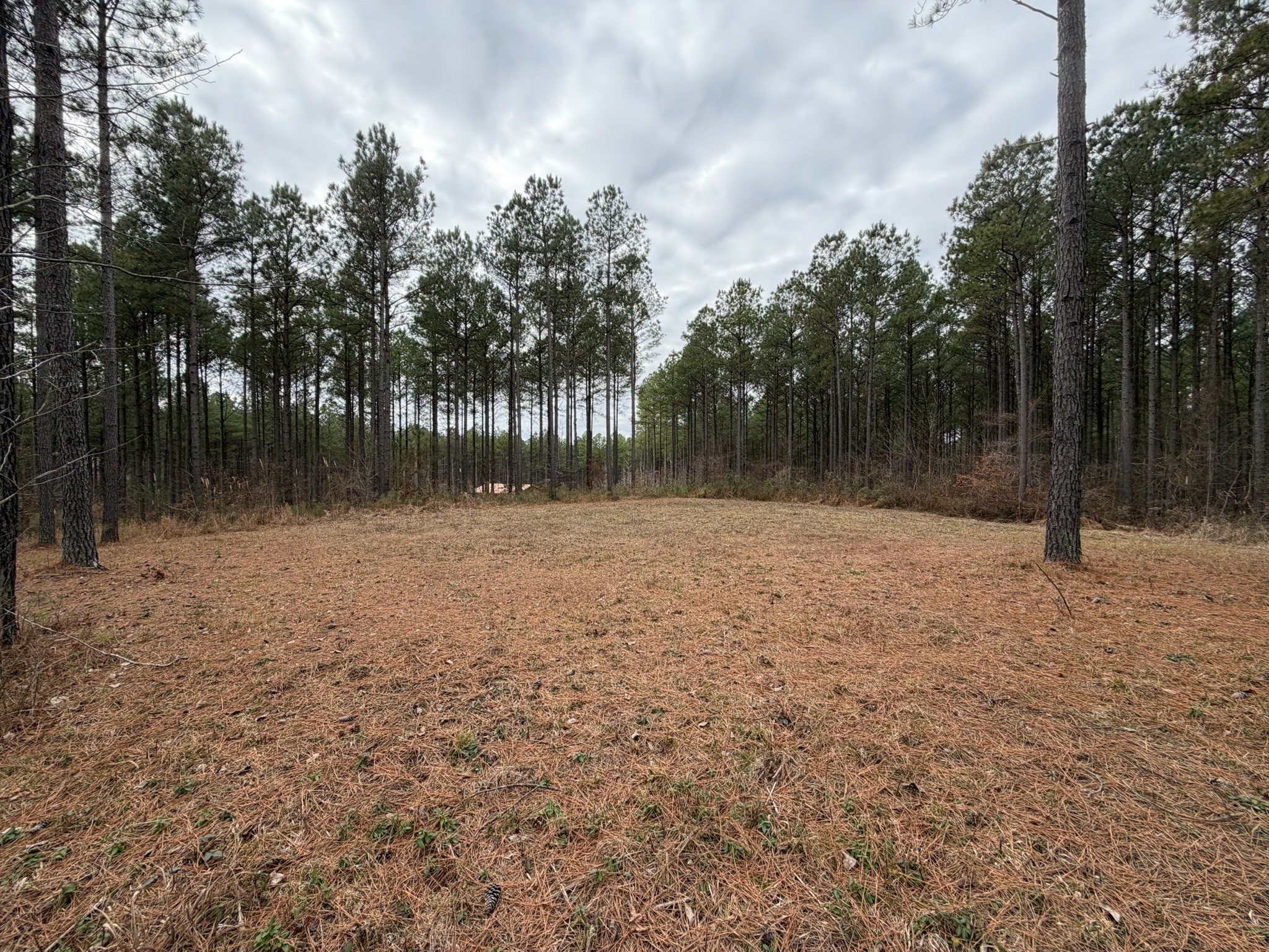 2A Bartlett Road Reagan TN 38368