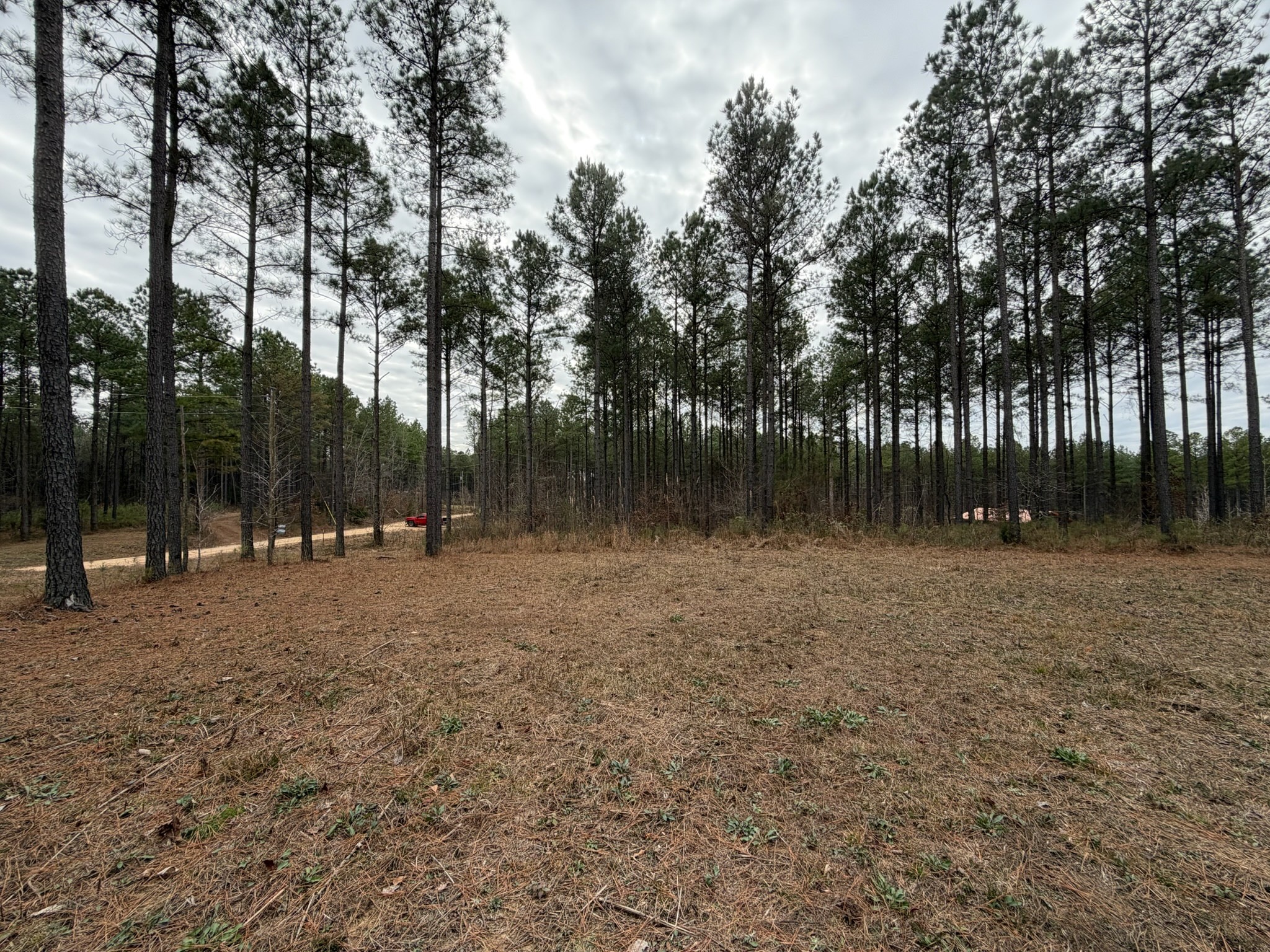 2A Bartlett Road Reagan TN 38368