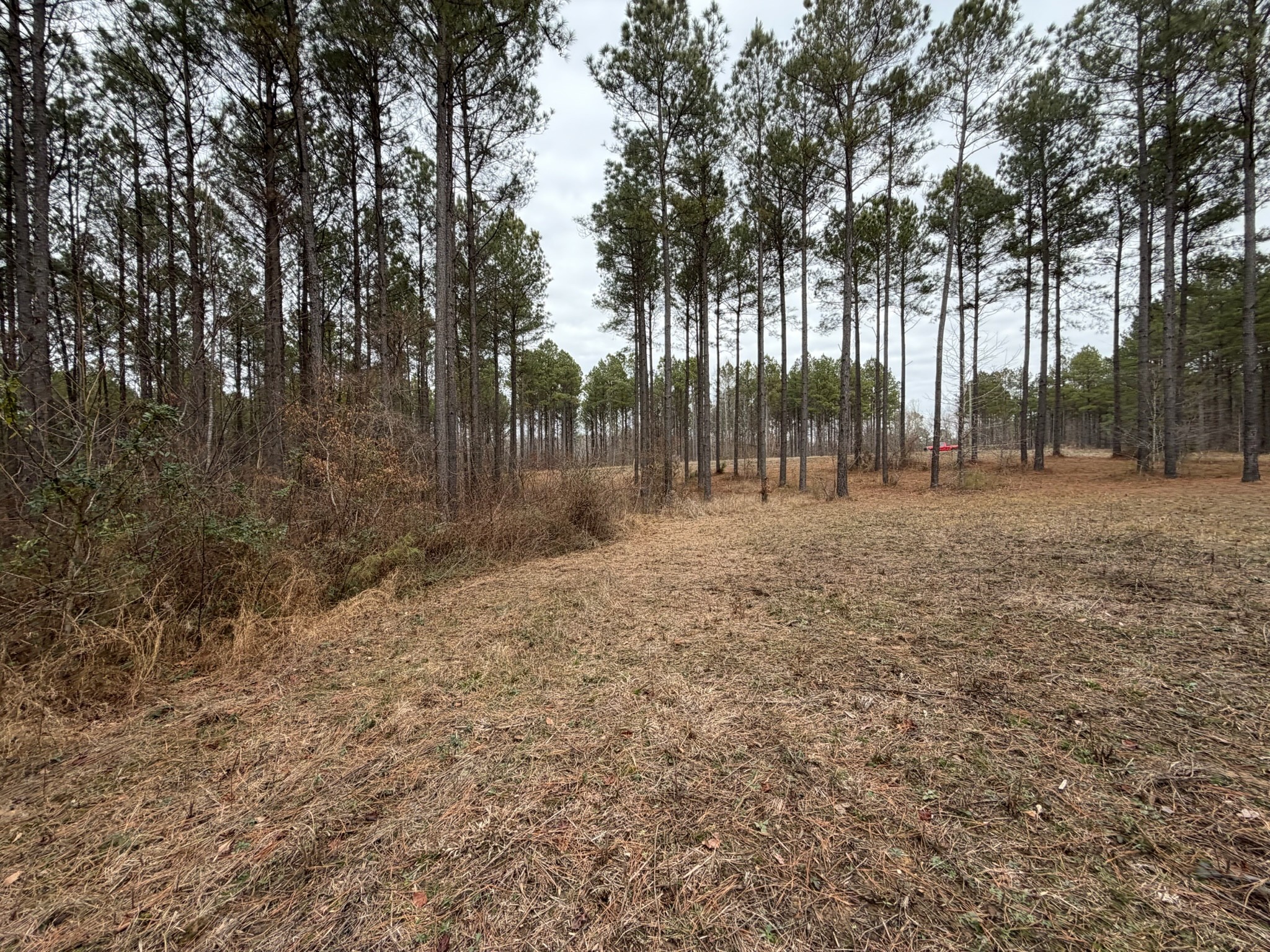 2A Bartlett Road Reagan TN 38368