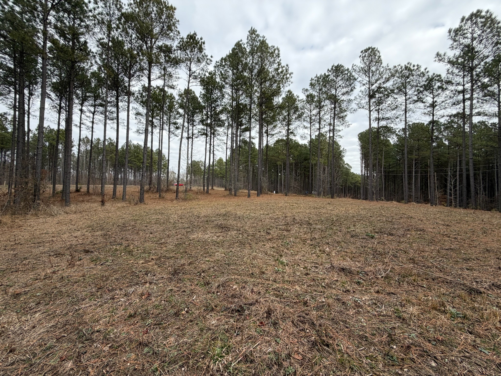 2A Bartlett Road Reagan TN 38368