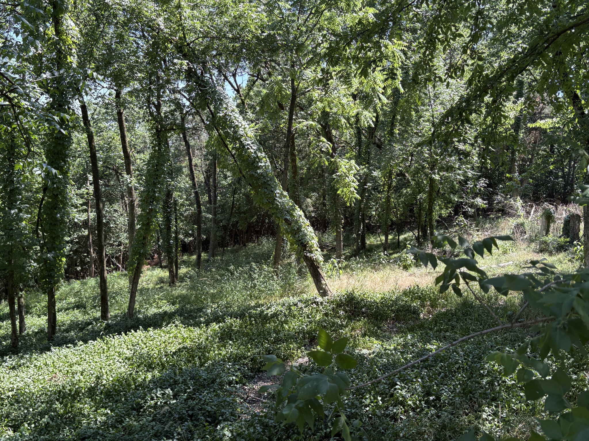 1060 Hickory Harbor Drive Gallatin TN 37066