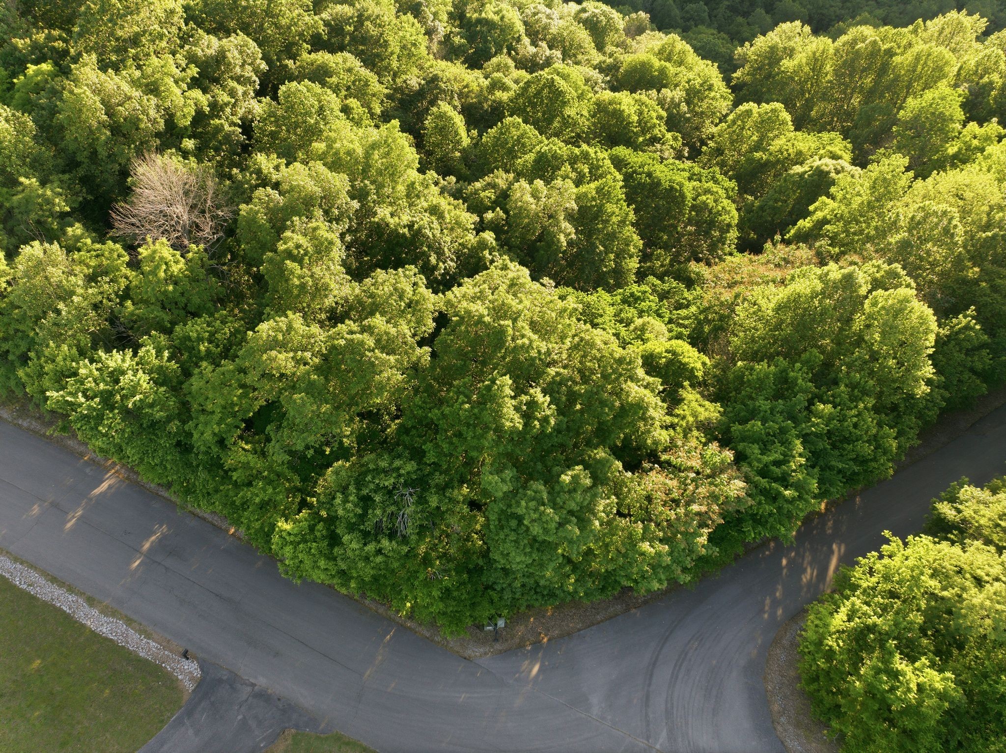 0 Davidson Road Smithville TN 37166