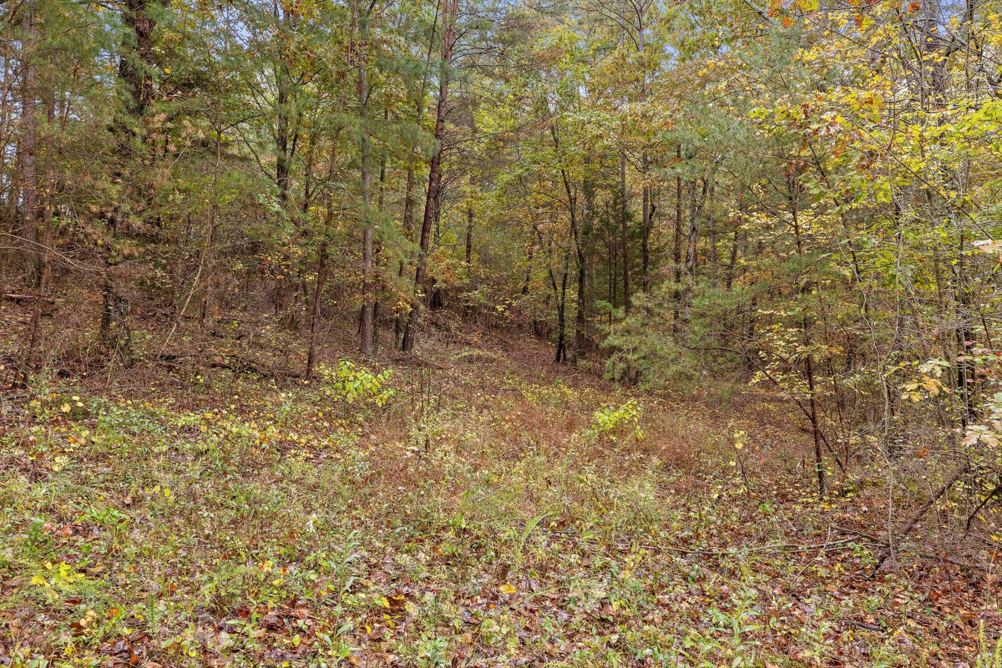 0 Countryside Drive Dunlap TN 37327