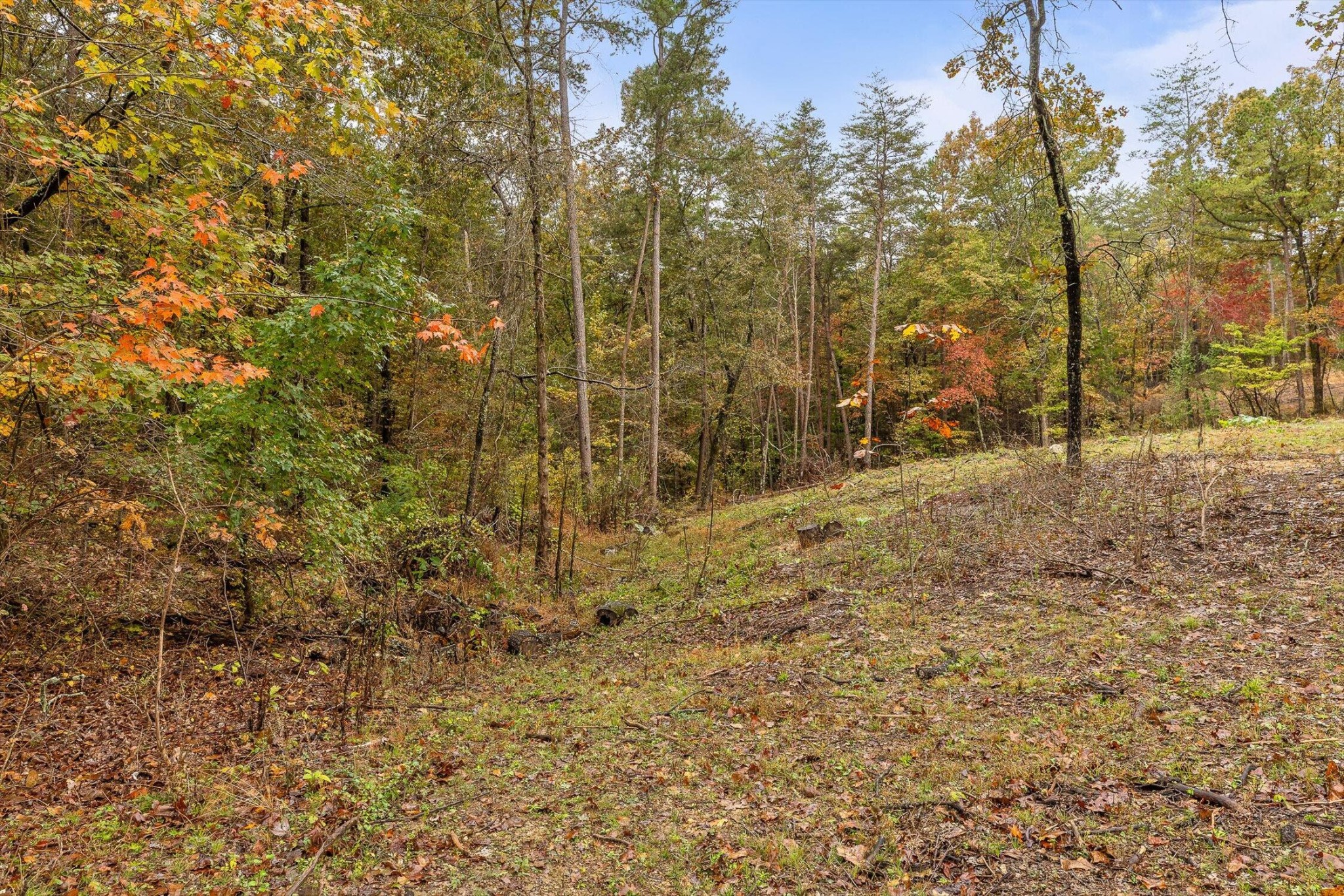 0 Countryside Drive Dunlap TN 37327
