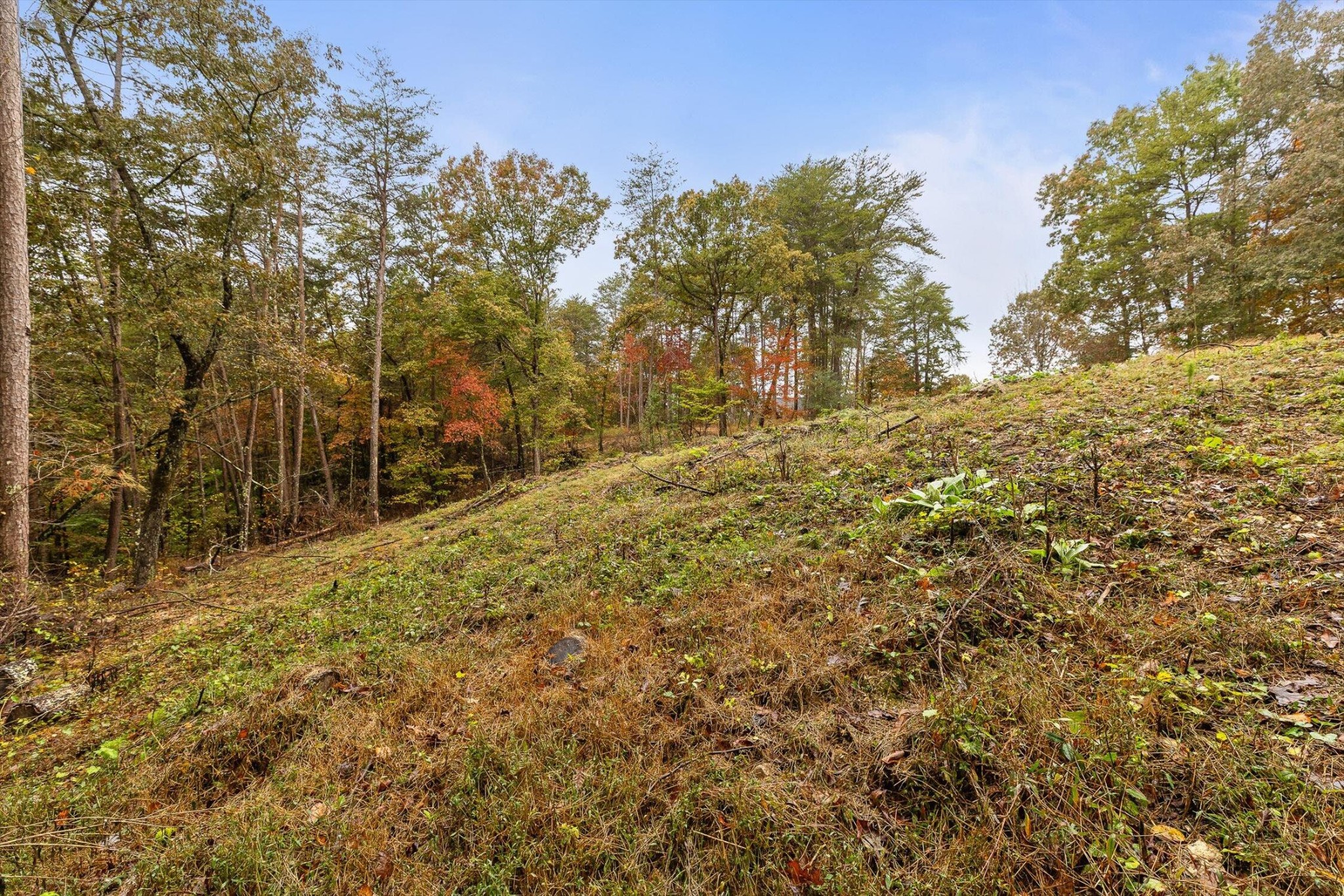 0 Countryside Drive Dunlap TN 37327