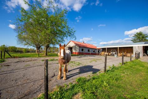 501 Burnt Hill Road Unionville TN 37180