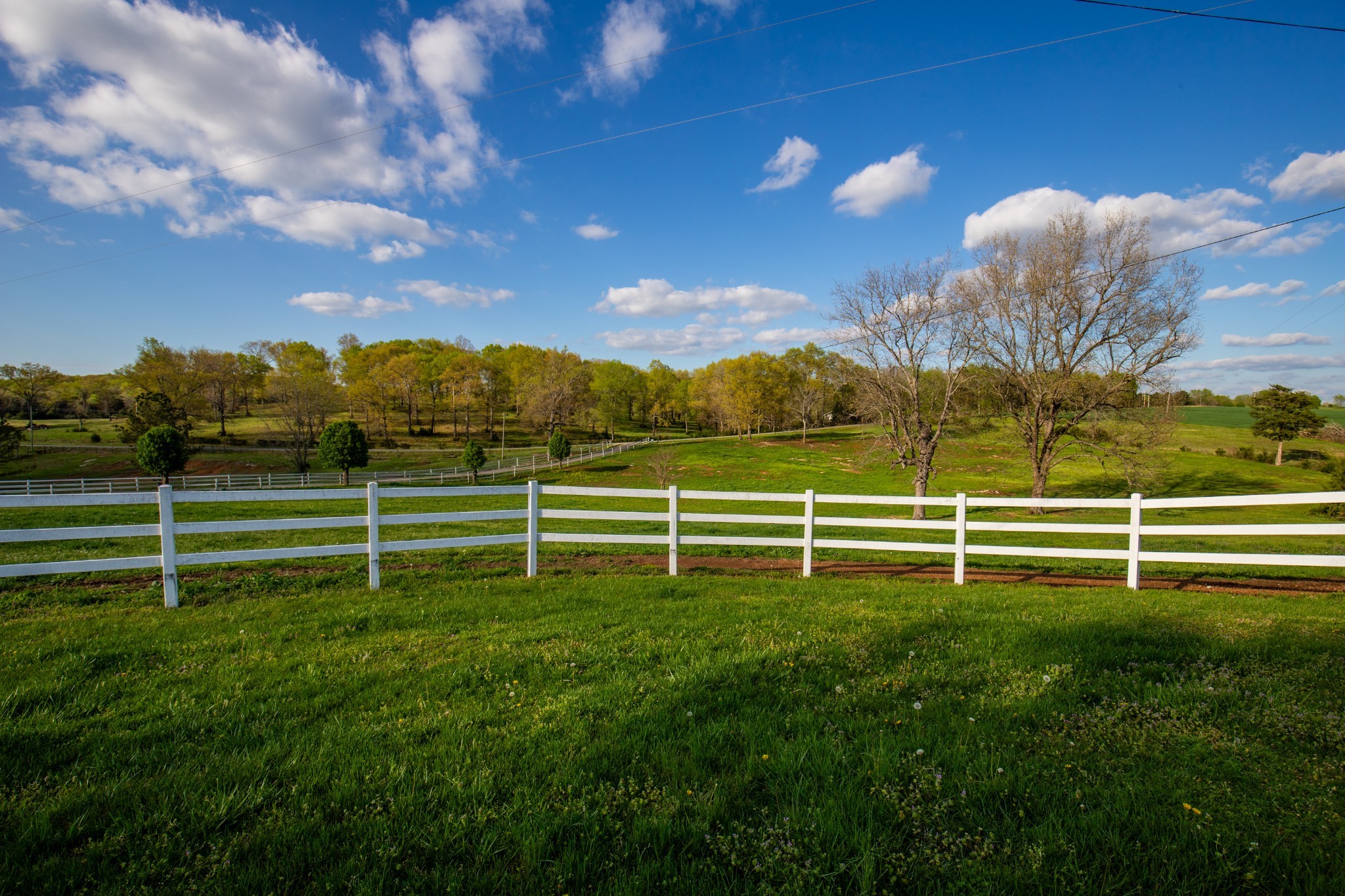 501 Burnt Hill Road Unionville TN 37180