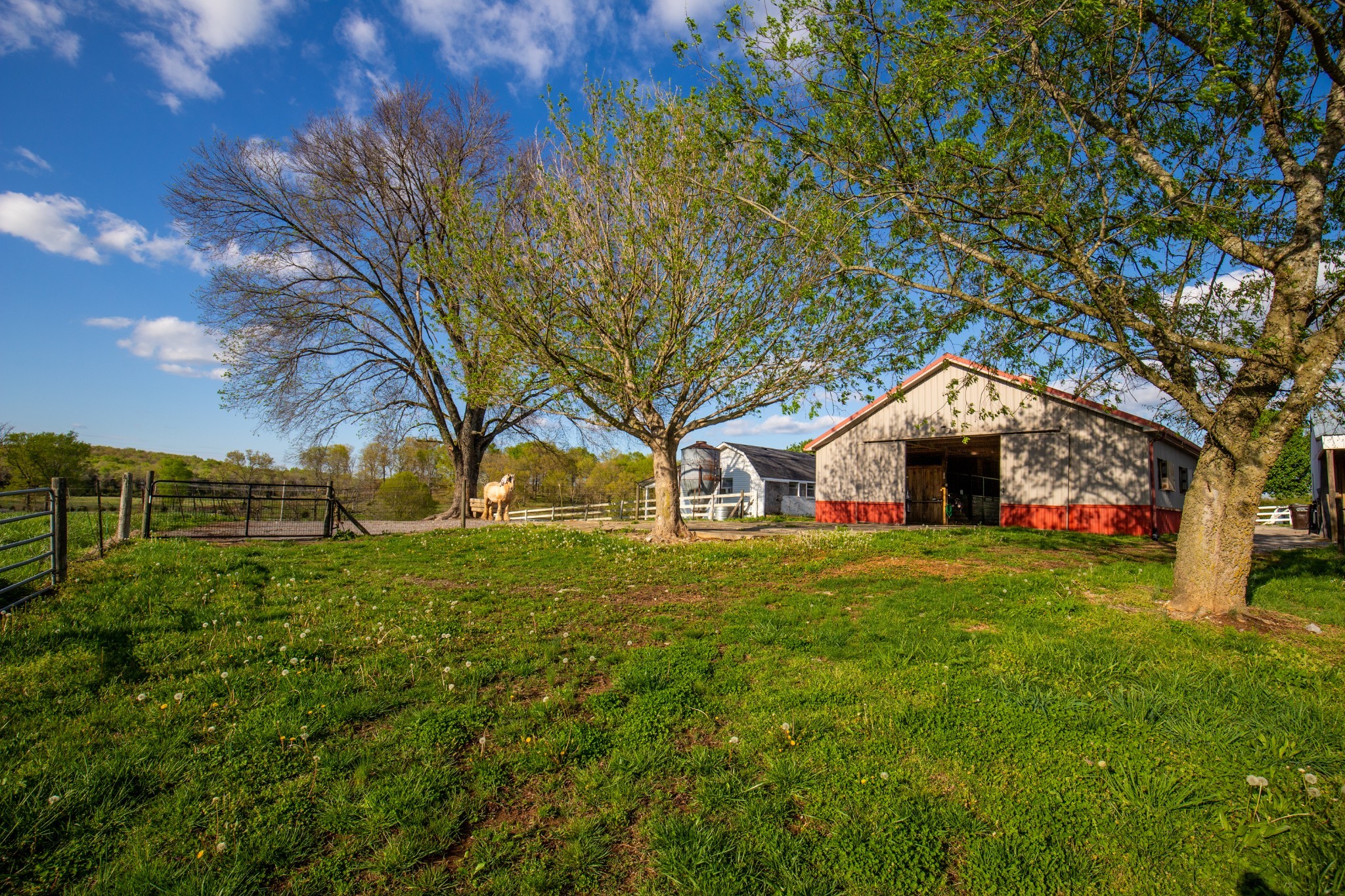501 Burnt Hill Road Unionville TN 37180