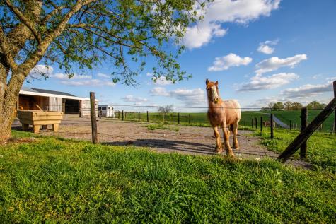 501 Burnt Hill Road Unionville TN 37180