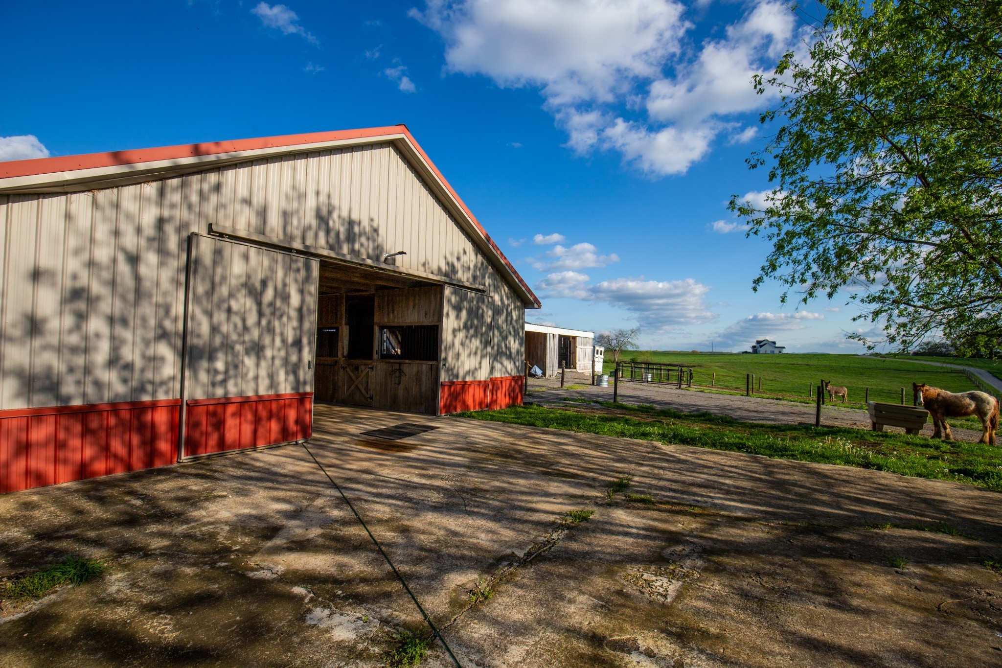501 Burnt Hill Road Unionville TN 37180