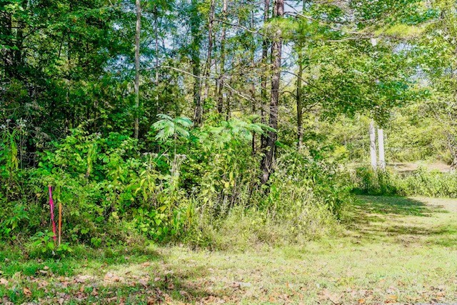 0 Bolestown Loop Lot 4 Alpine TN 38543