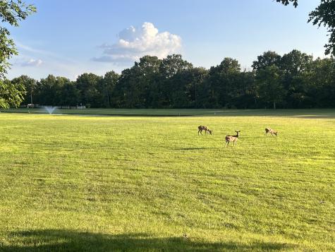 138 Tara Lane Goodlettsville TN 37072