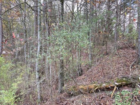 0 Caldwell Road Coalmont TN 37313