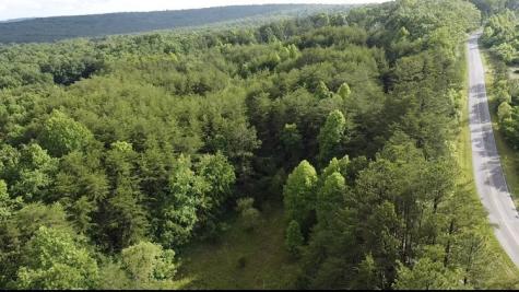 0 Caldwell Road Coalmont TN 37313