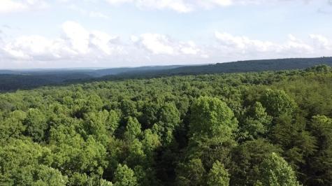 0 Caldwell Road Coalmont TN 37313