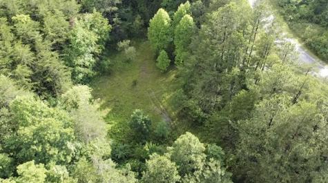 0 Caldwell Road Coalmont TN 37313