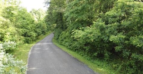 0 Caldwell Road Coalmont TN 37313