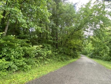 0 Caldwell Road Coalmont TN 37313