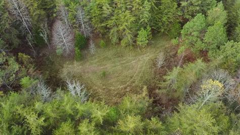 0 Caldwell Road Coalmont TN 37313