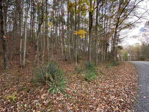 0 Caldwell Road Coalmont TN 37313