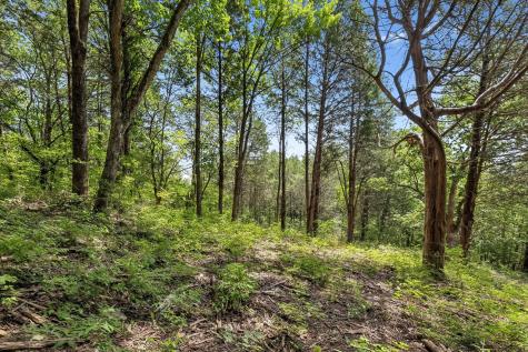 0 Gower Road Nashville TN 37209