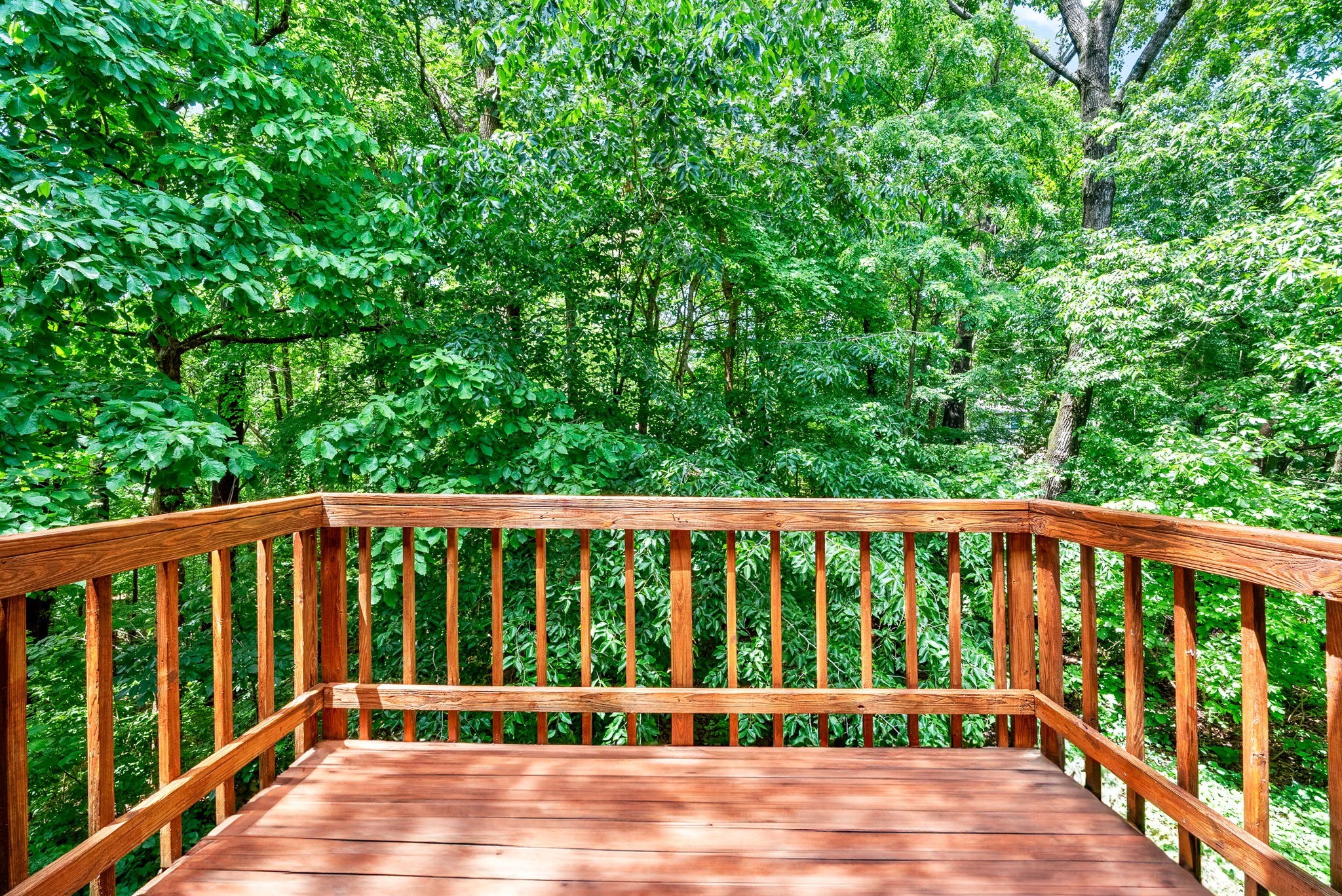 460 Martha Lane Clarksville TN 37043