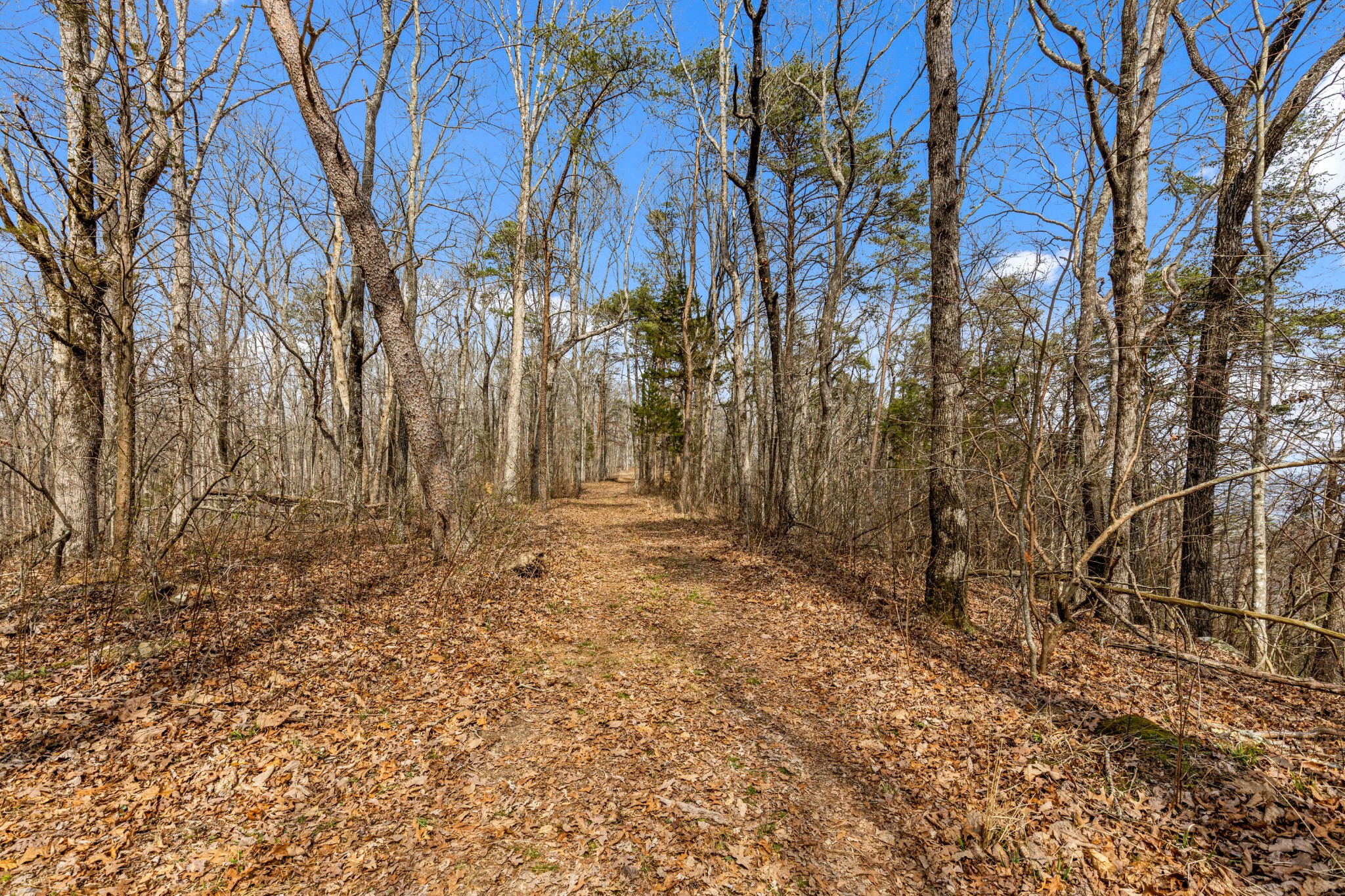35290 Sr 30 Pikeville TN 37367