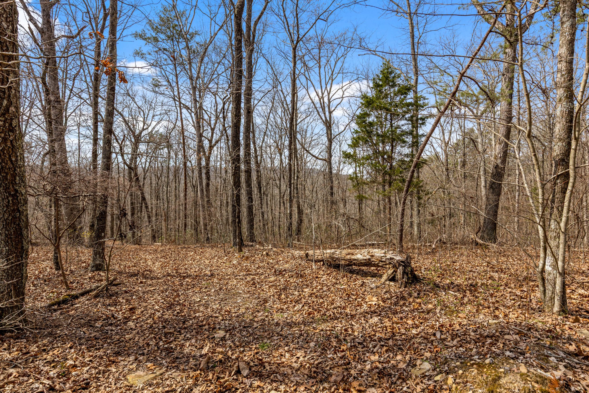 35290 Sr 30 Pikeville TN 37367