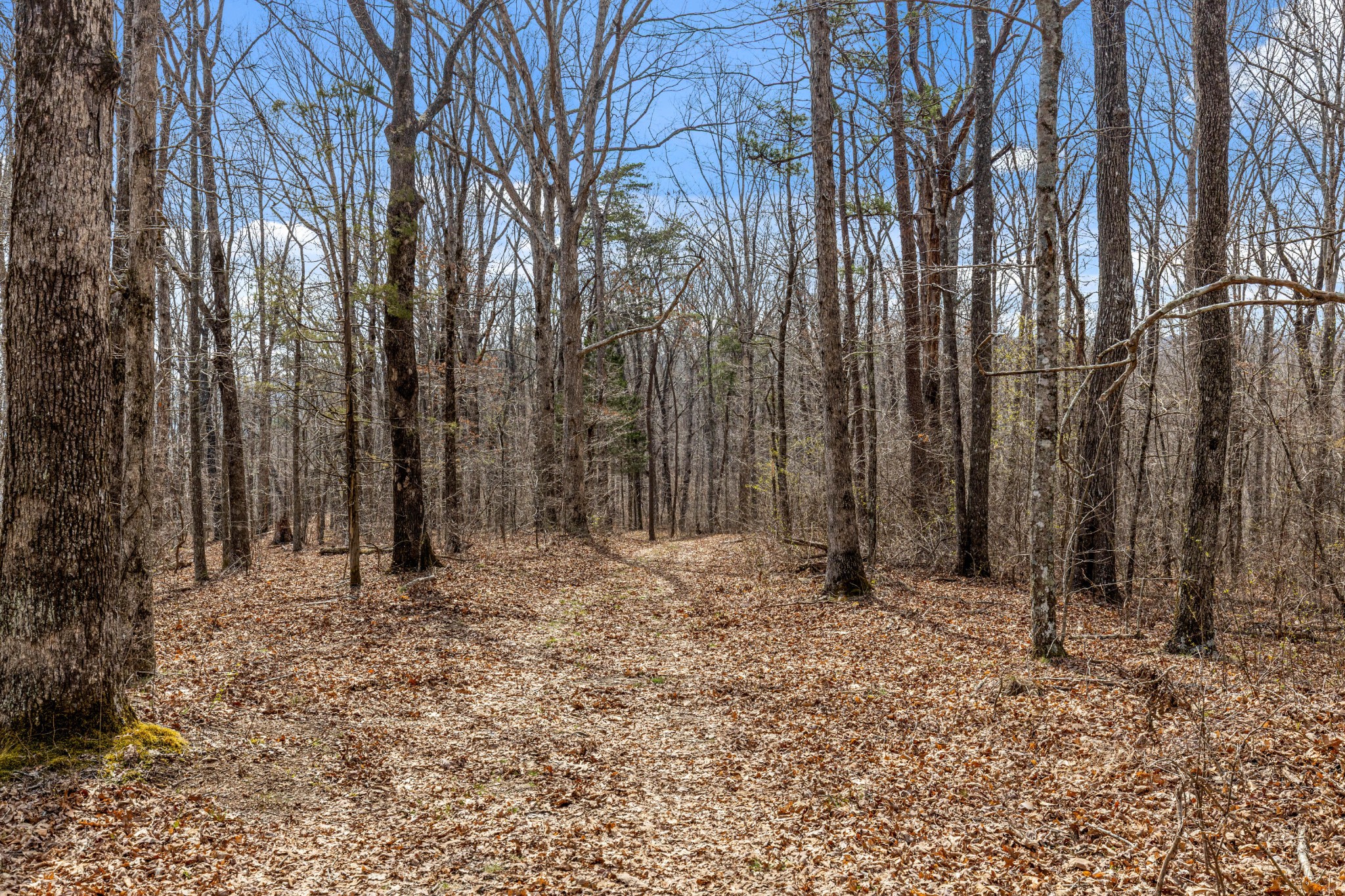 35290 Sr 30 Pikeville TN 37367