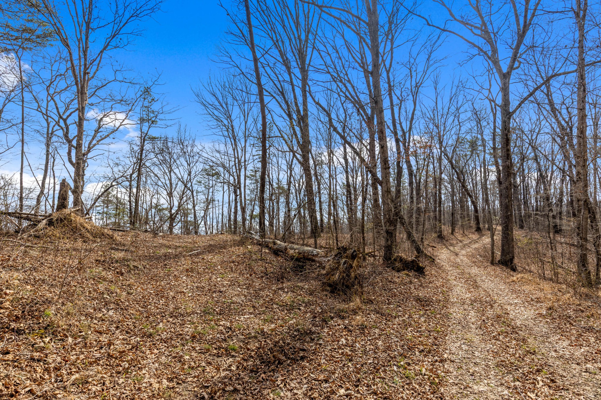 35290 Sr 30 Pikeville TN 37367