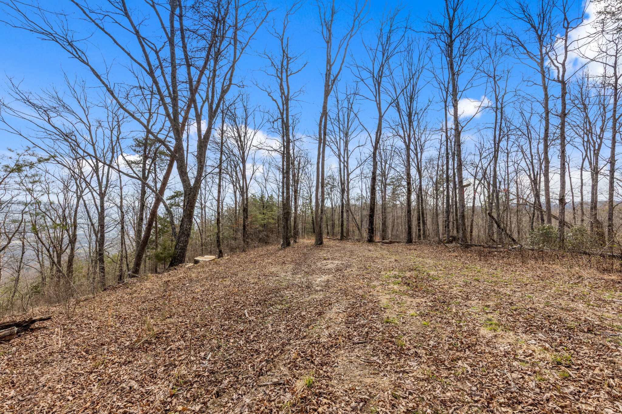 35290 Sr 30 Pikeville TN 37367