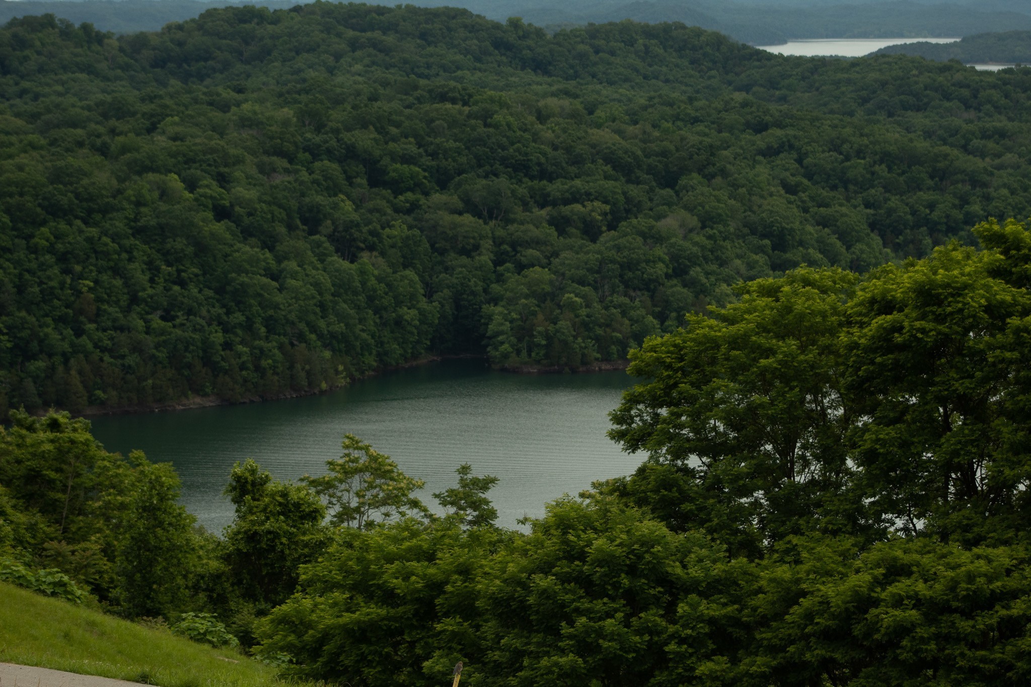60c Walleye Road Hilham TN 38568