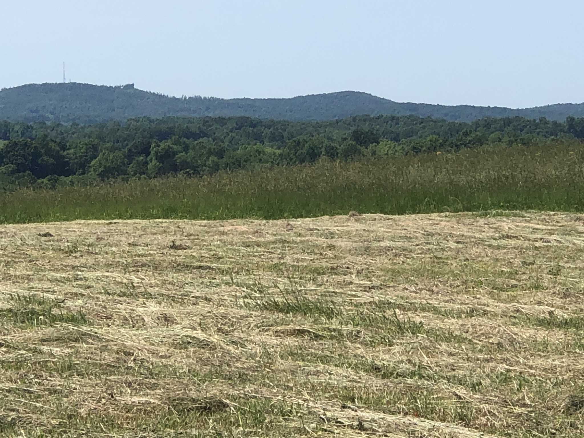 60c Walleye Road Hilham TN 38568
