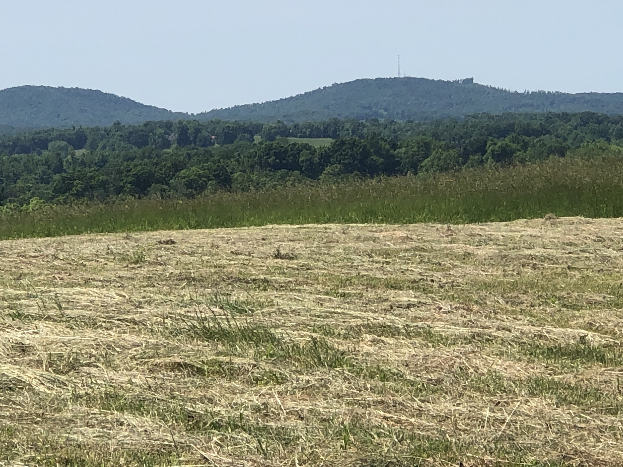 60c Walleye Road Hilham TN 38568