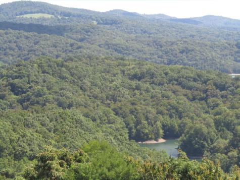 48 Swan Ridge Road, E Hilham TN 38568